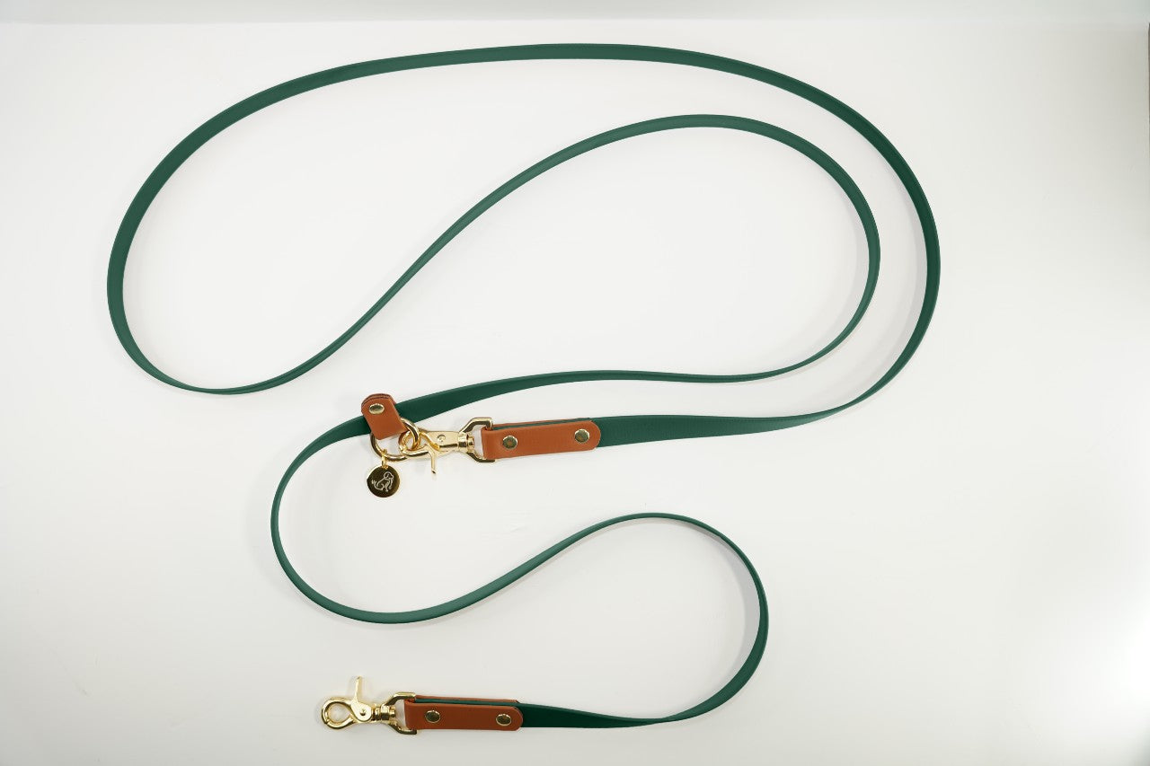 #色_ダークグリーン