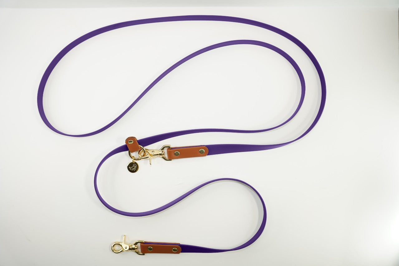 #色_バイオレッド