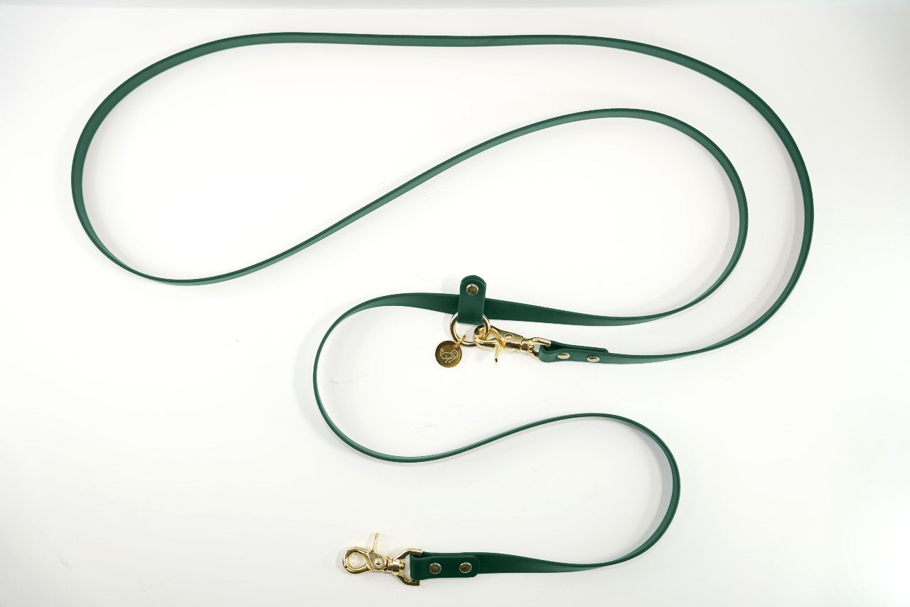 #色_ダークグリーン