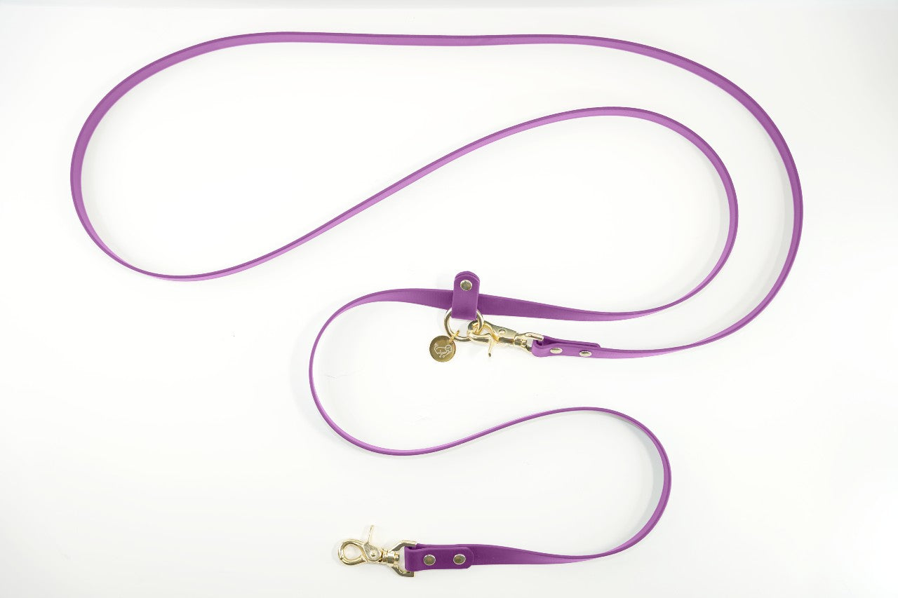 #色_オーキッド