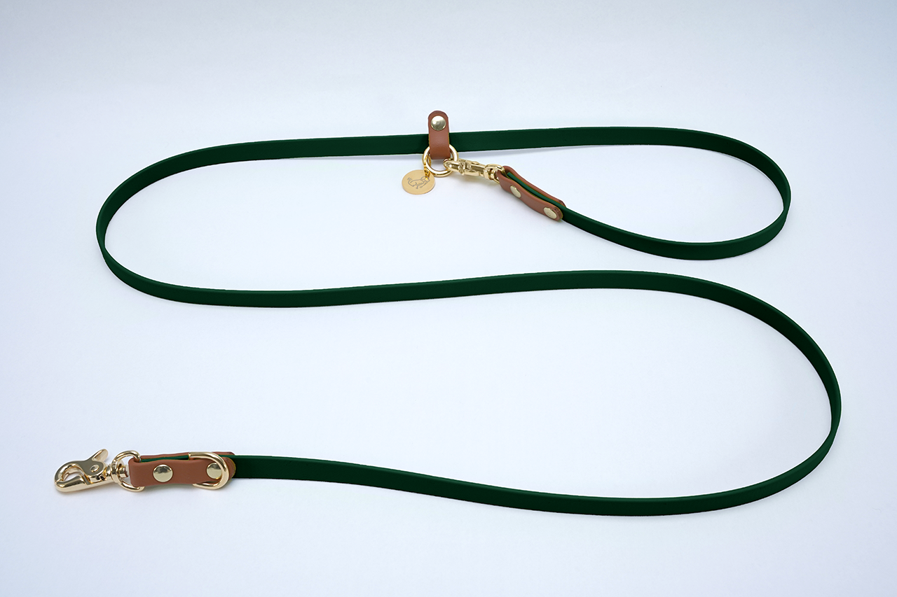 #色_ダークグリーン