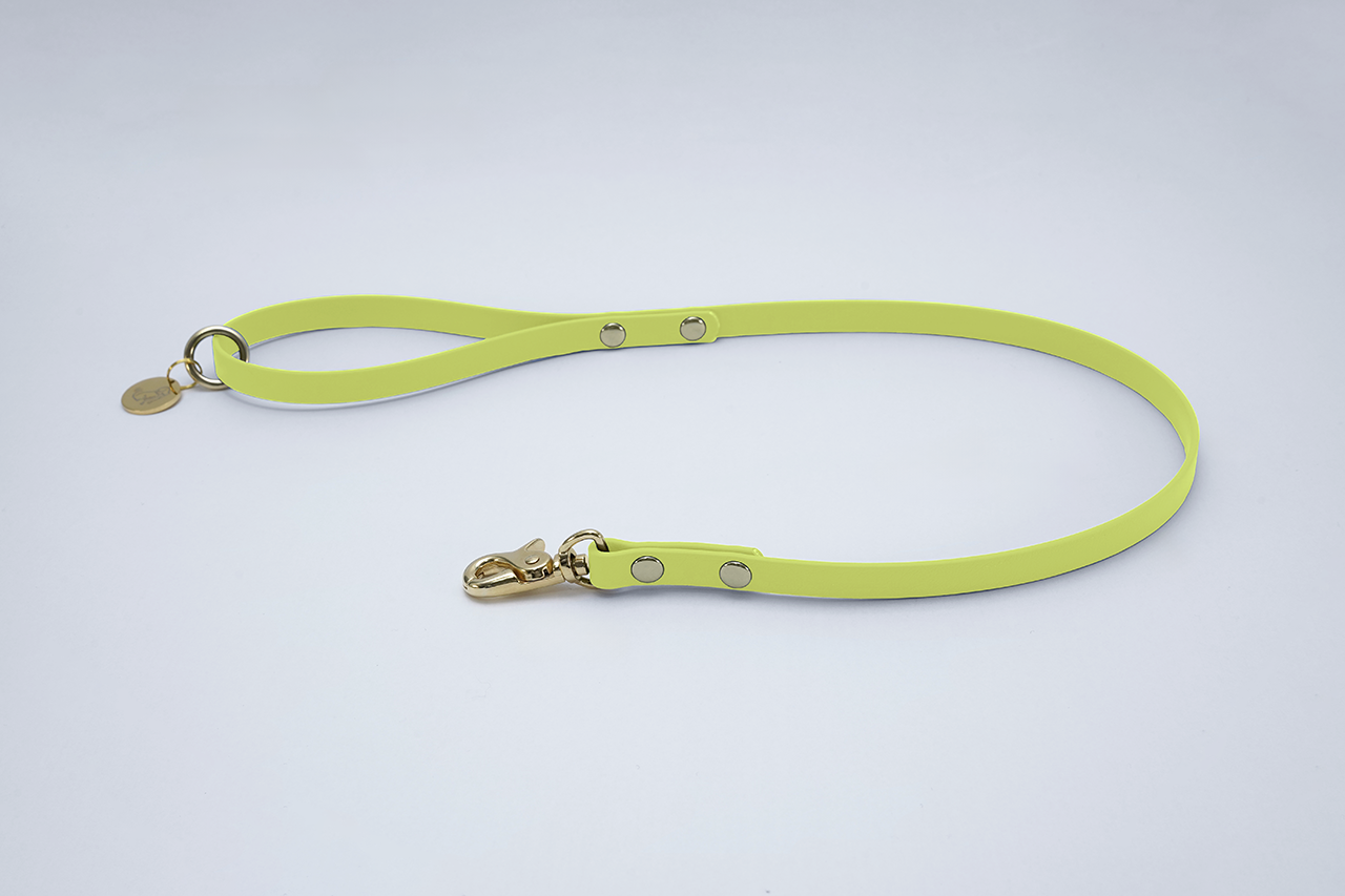 #色_パステルイエロー