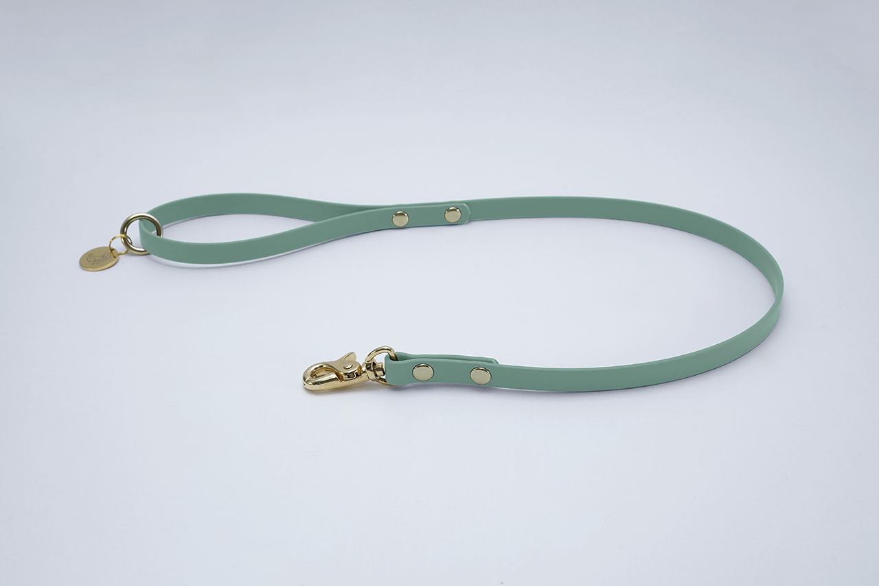 #色_セージグリーン