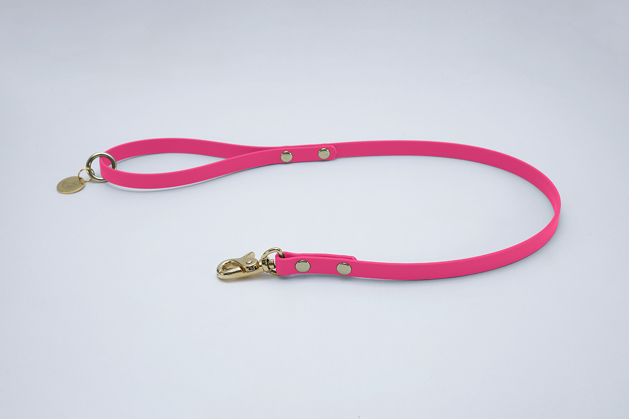 #色_パッションピンク