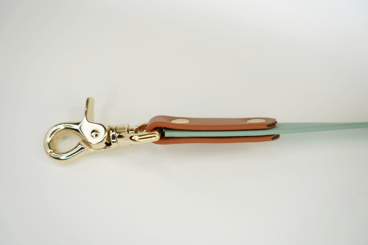 ノーマルリード バイカラー 18