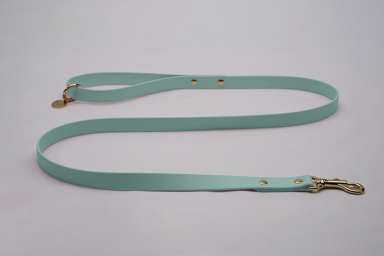 #色_セージグリーン