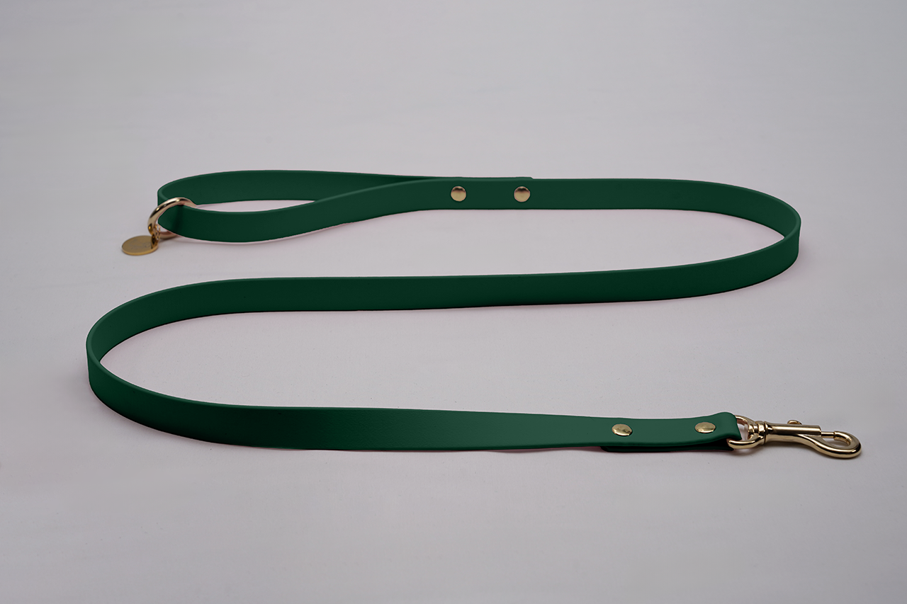 #色_ダークグリーン