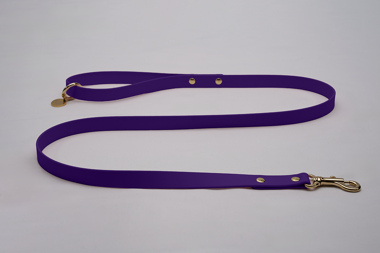 #色_バイオレッド