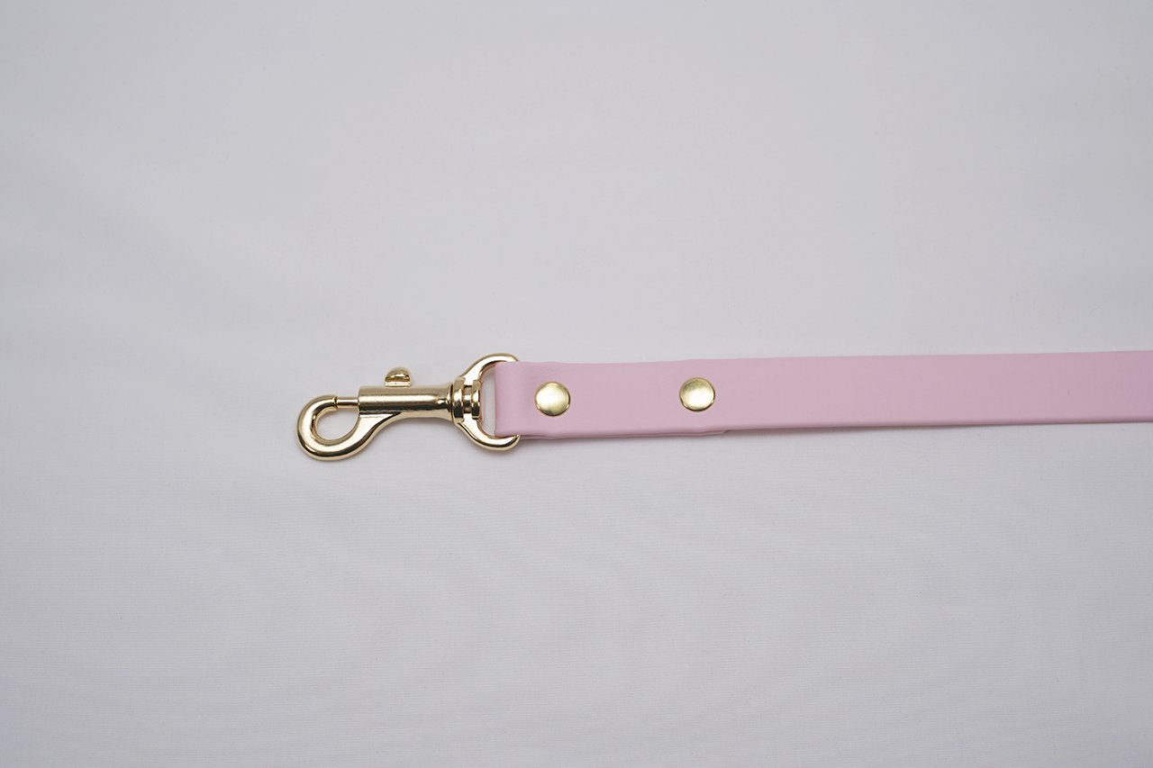 【限定色】プレーンリード18