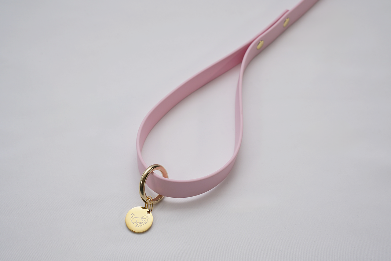 【限定色】プレーンリード18