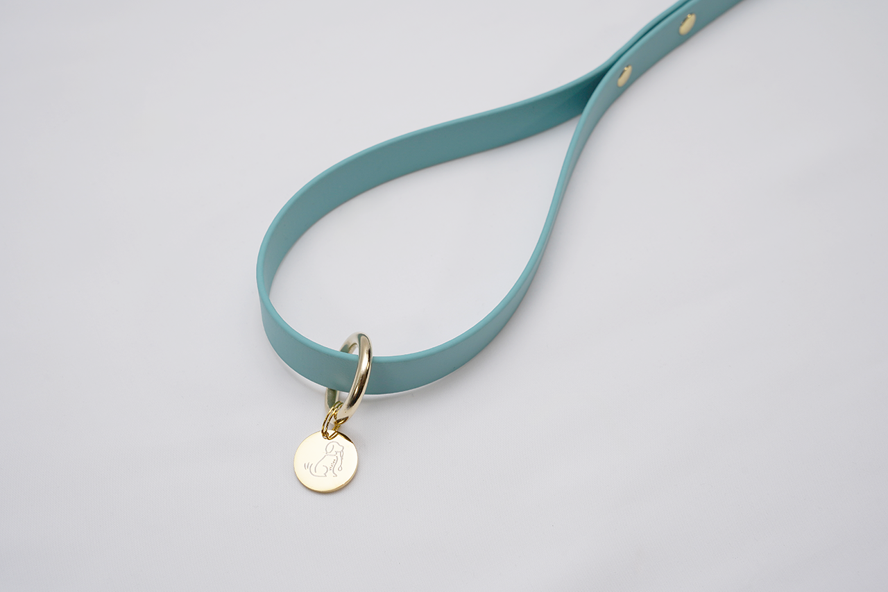 【限定色】プレーンリード18