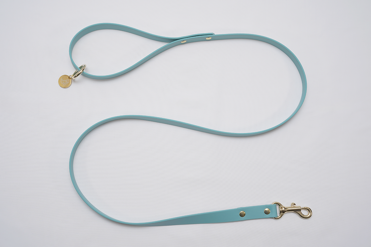 【限定色】プレーンリード18