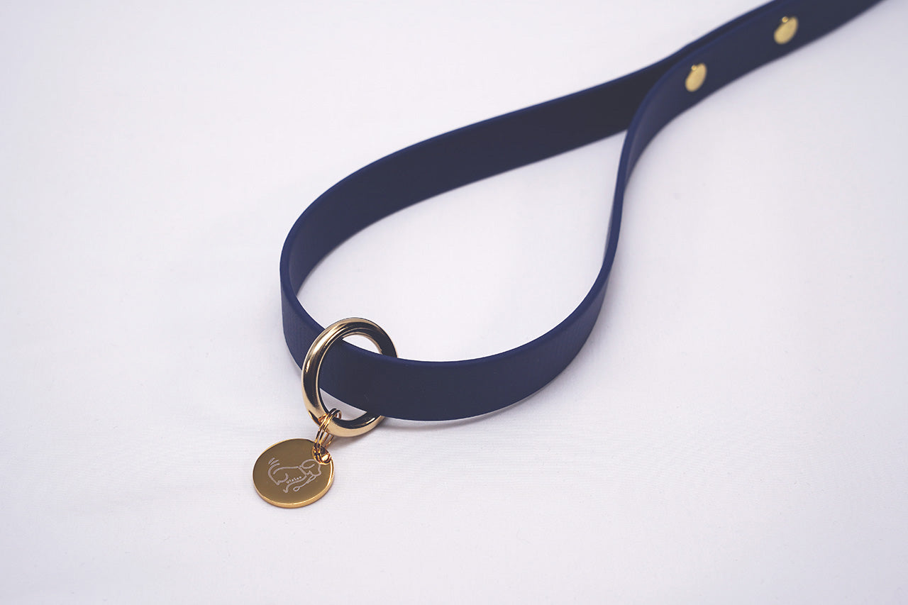 プレーンリード18