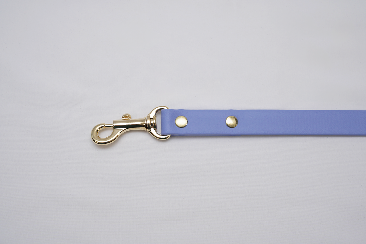 【限定色】プレーンリード18