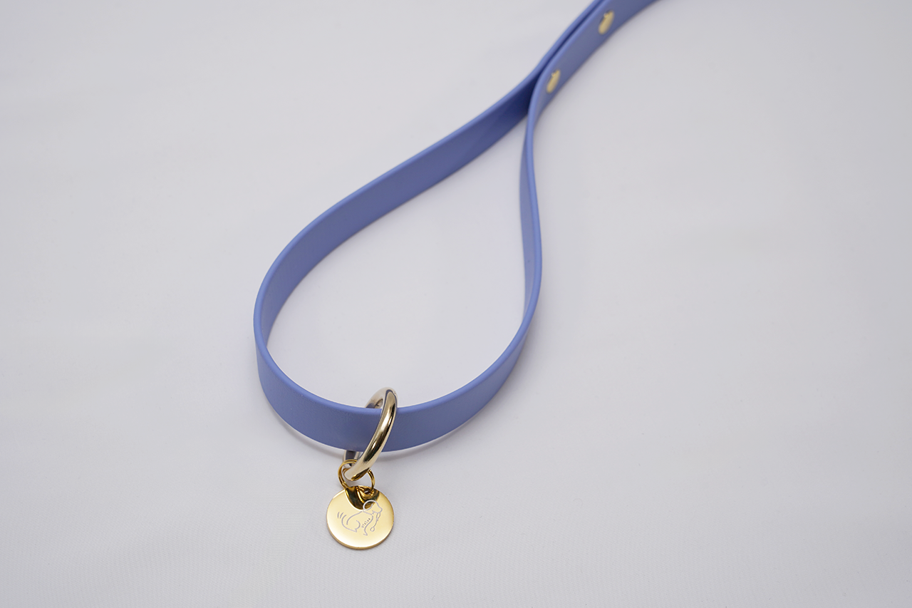 【限定色】プレーンリード18