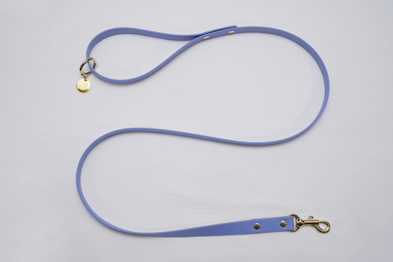 【限定色】プレーンリード18