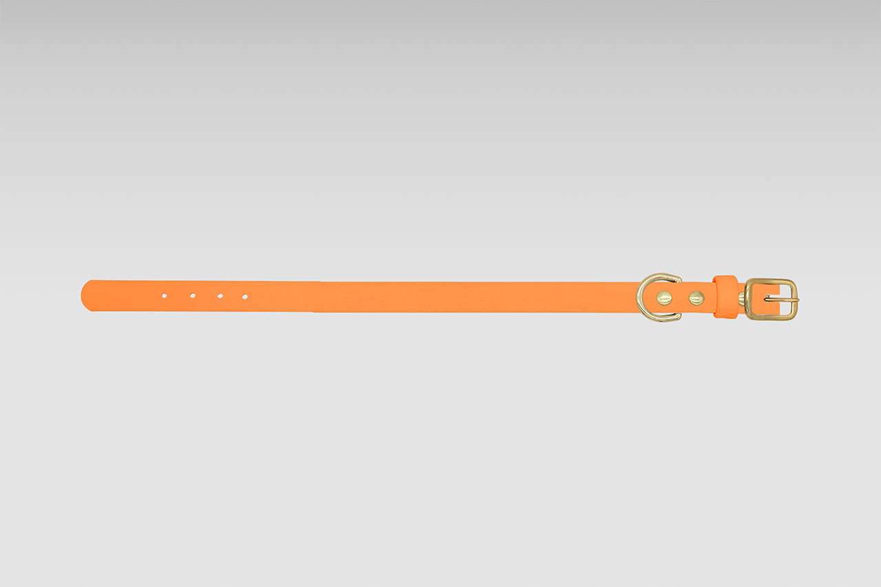 カラー(首輪)ベルトタイプ