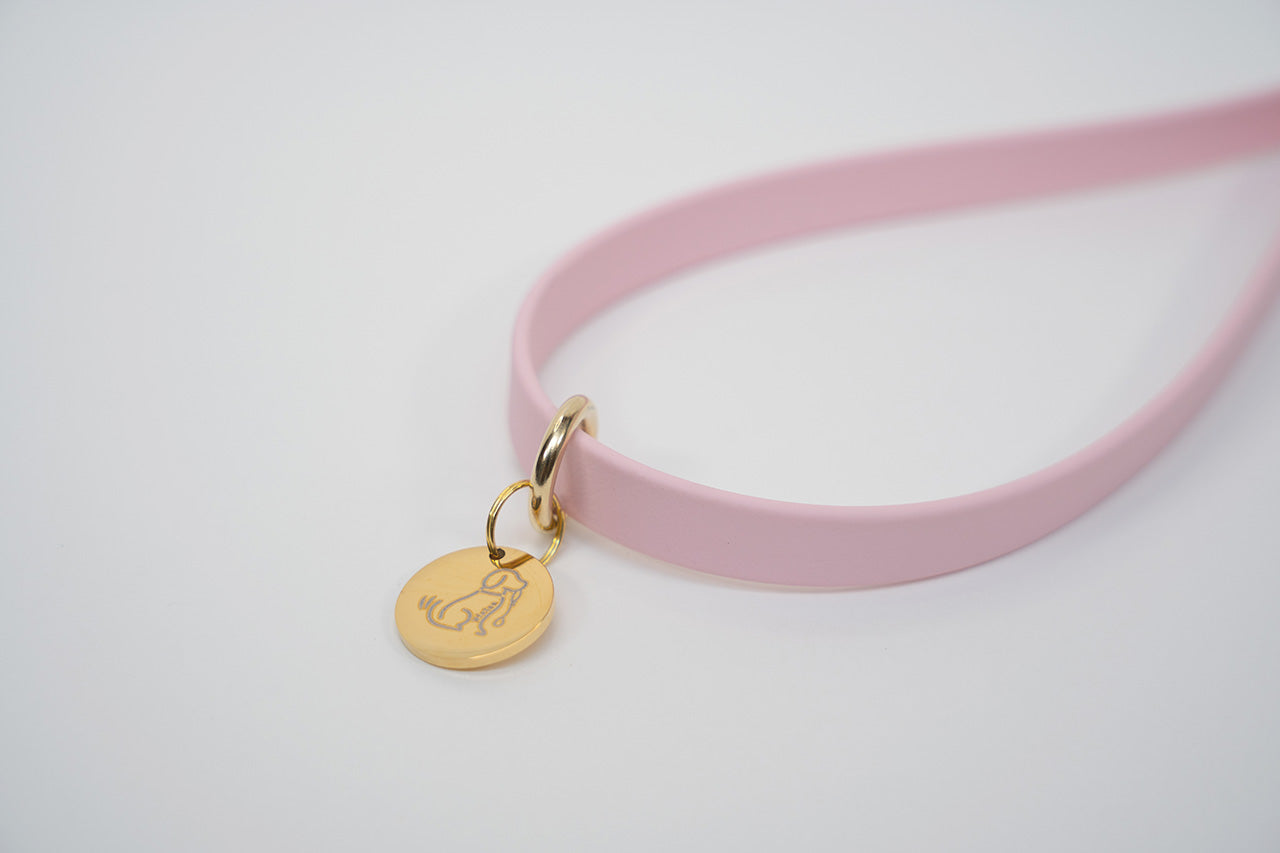 【限定色】ショートリード13