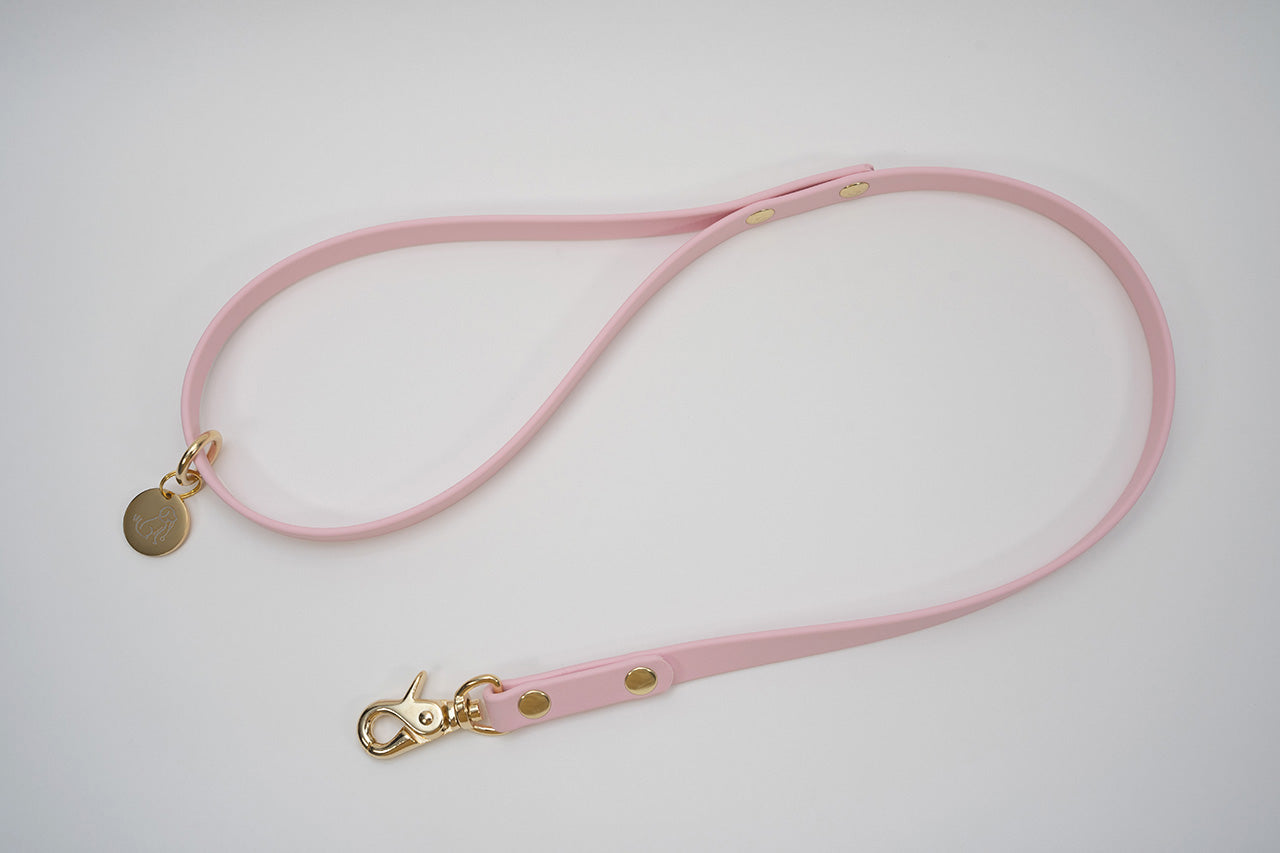 【限定色】ショートリード13