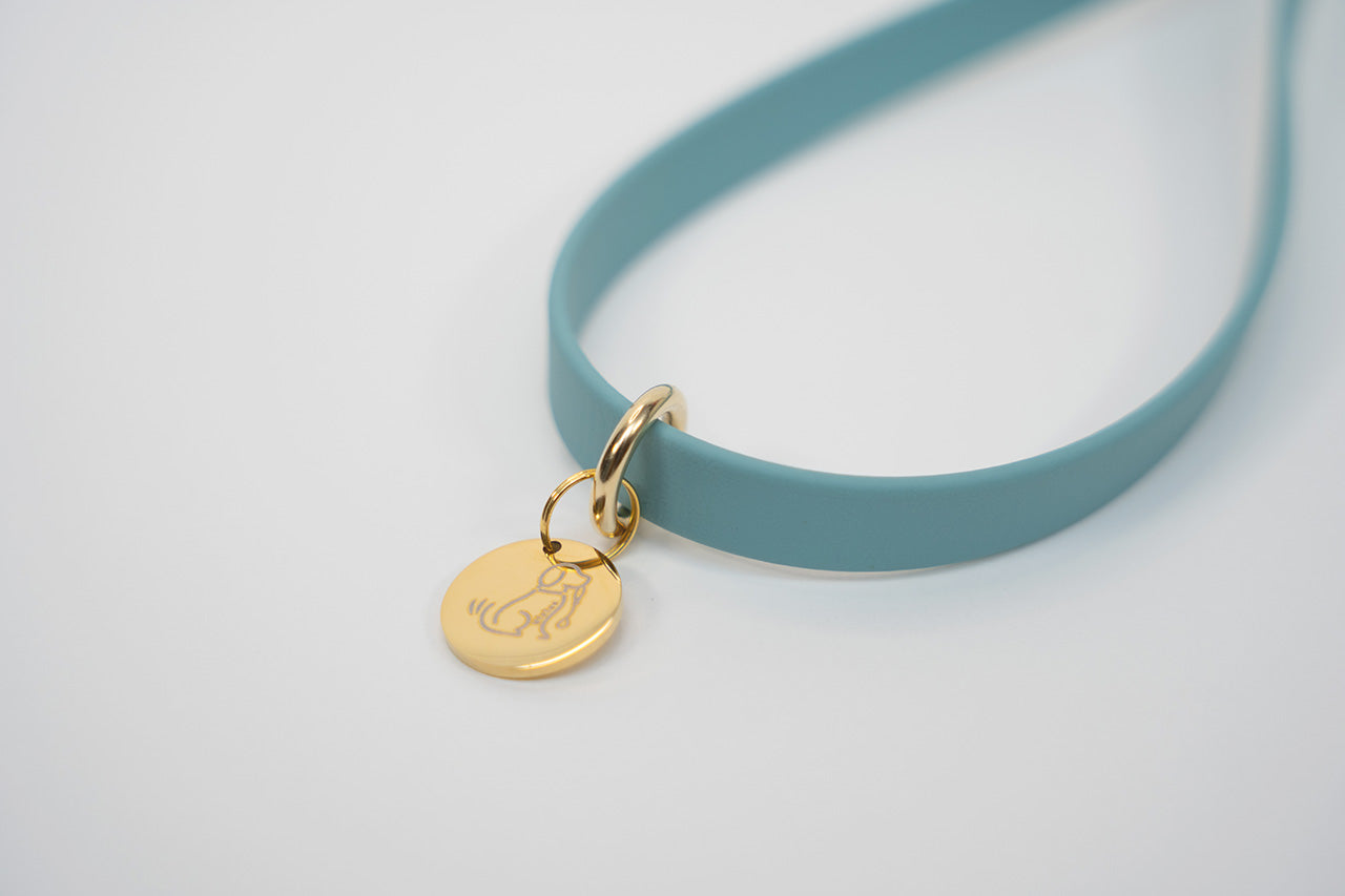 【限定色】ショートリード13