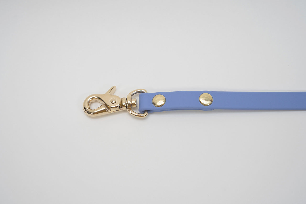 【限定色】ショートリード13