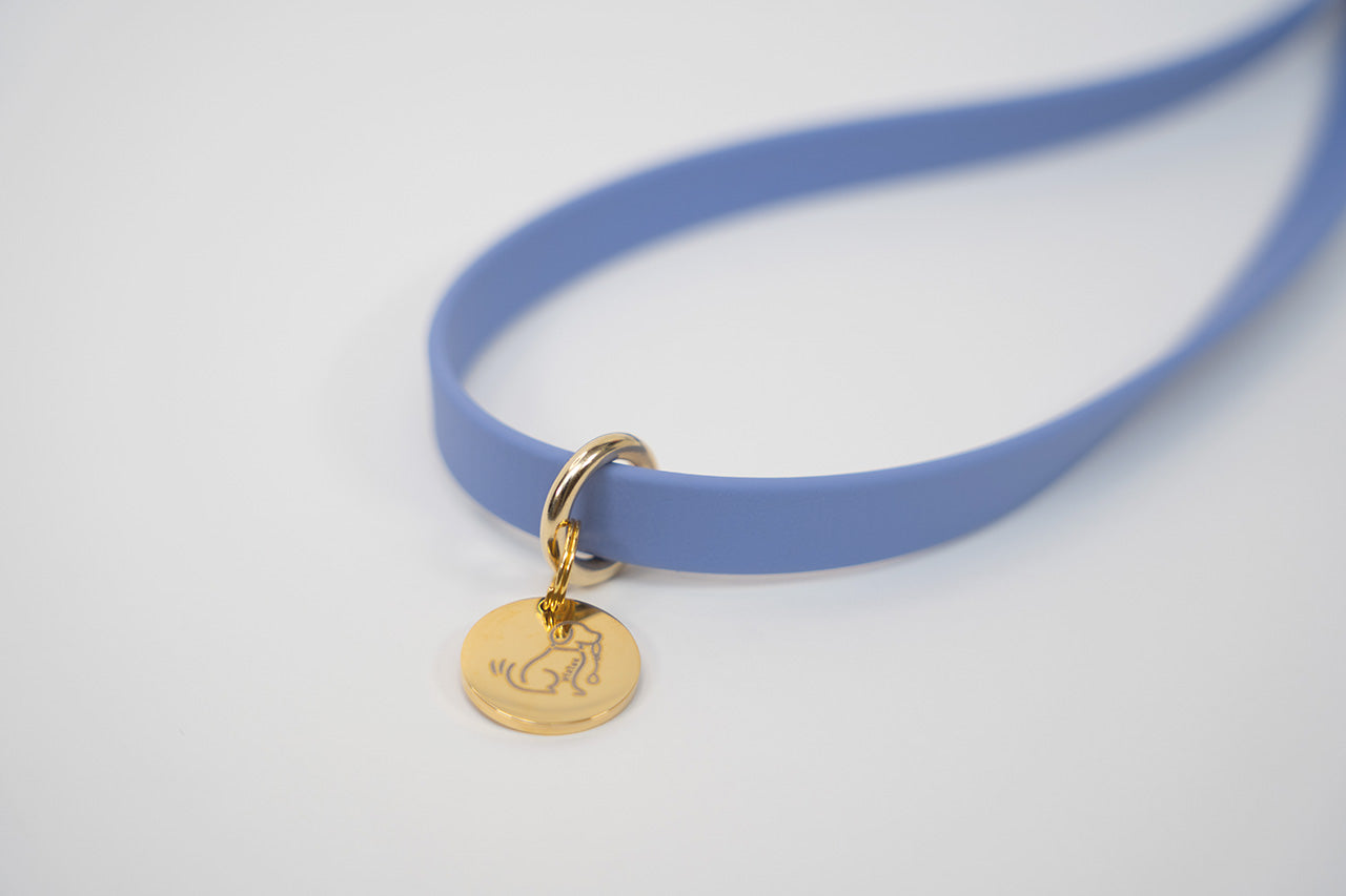 【限定色】ショートリード13