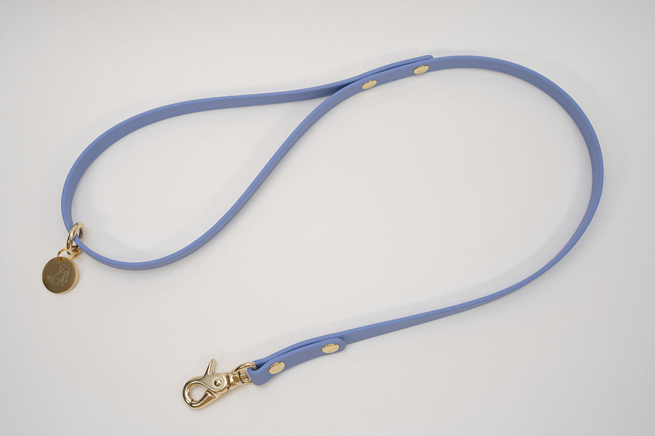 【限定色】ショートリード13