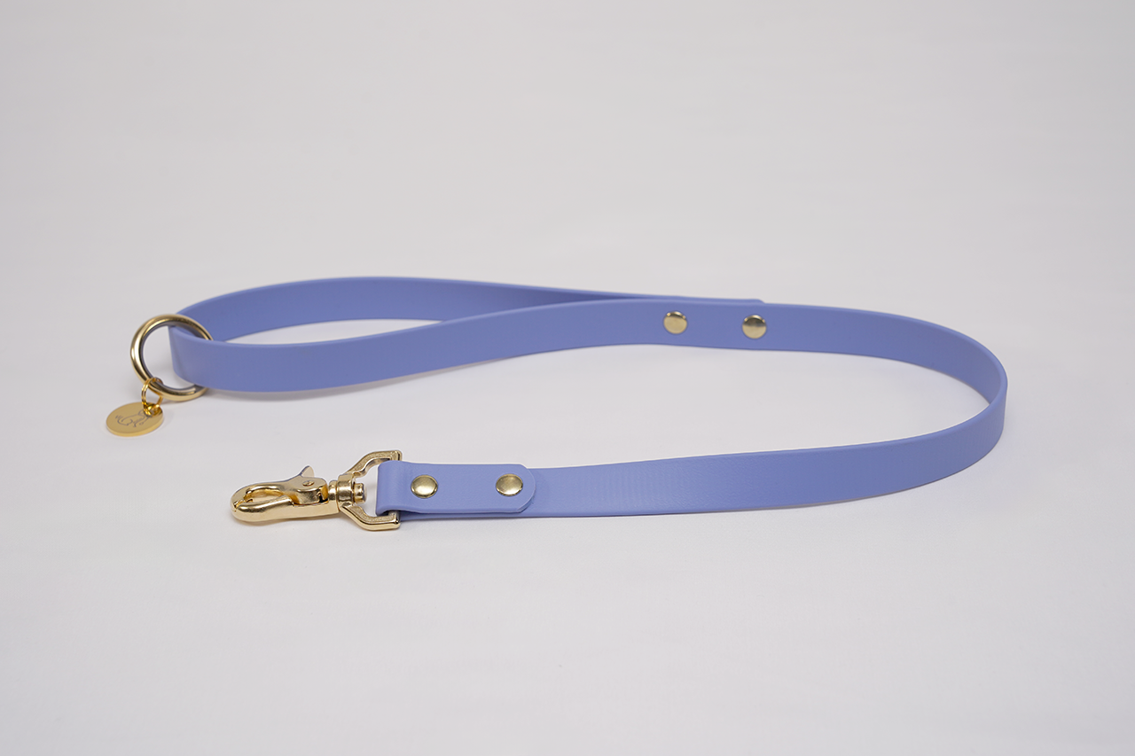 限定色】ショートリード18