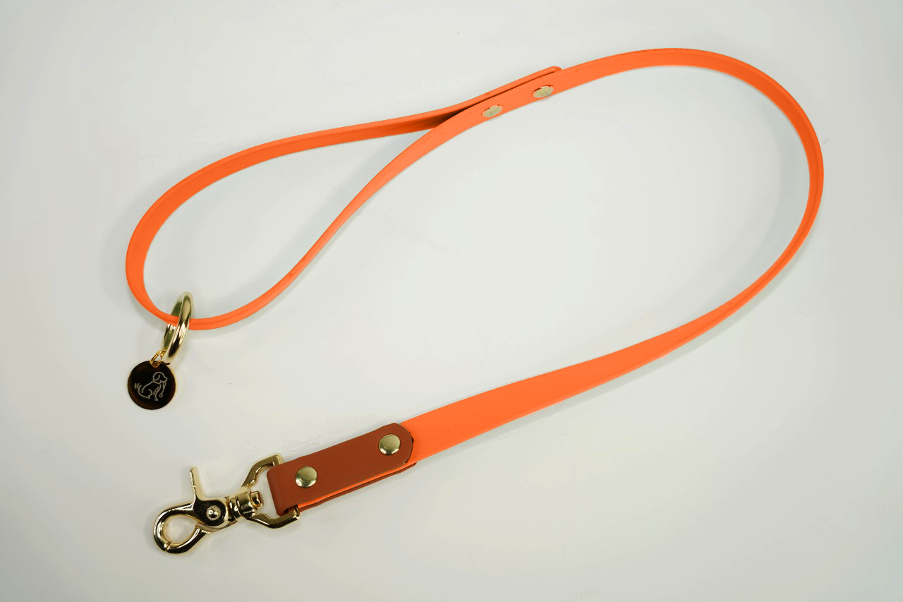 ショートリード バイカラー 18