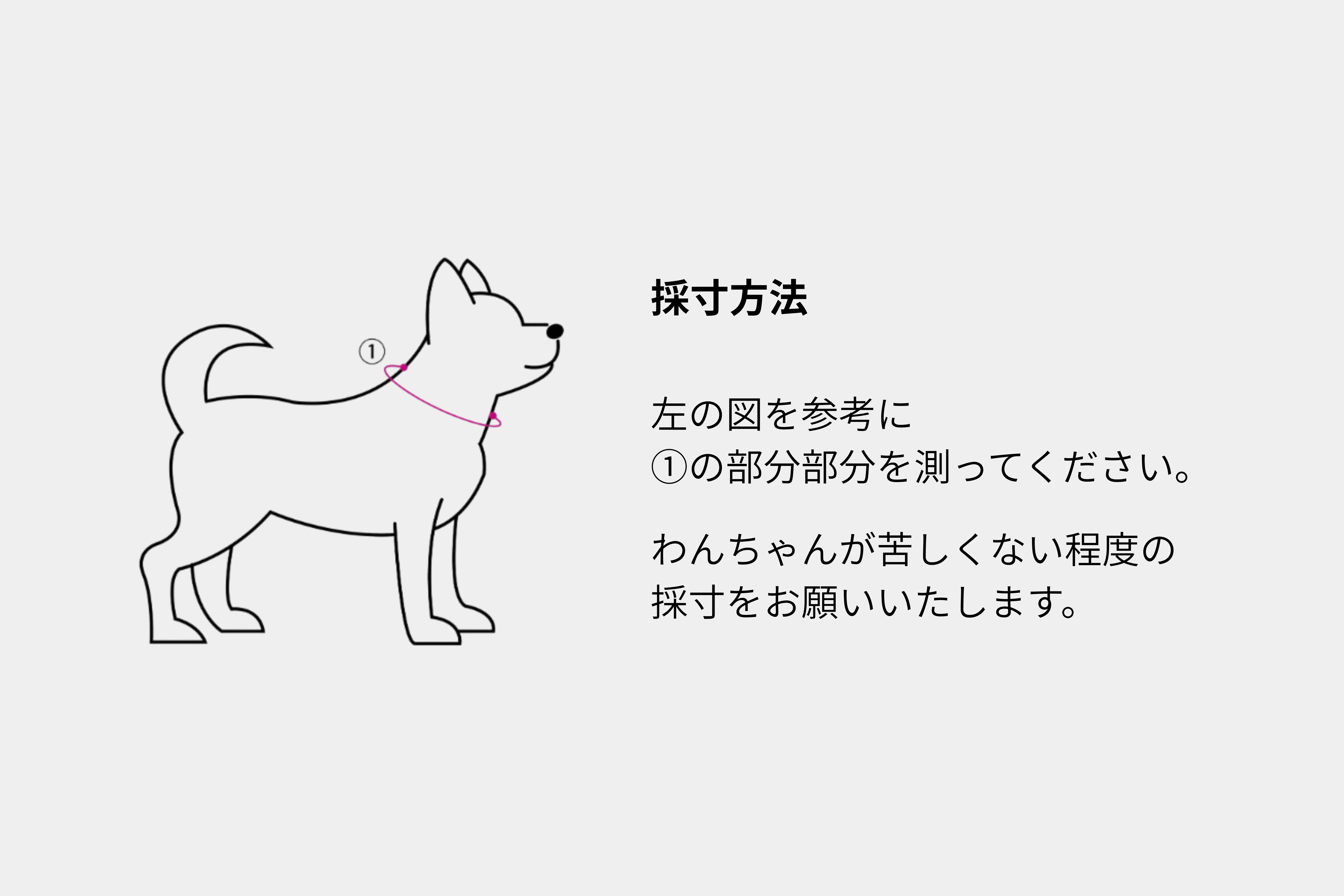 Dornen カスタムオーダー バックルタイプ