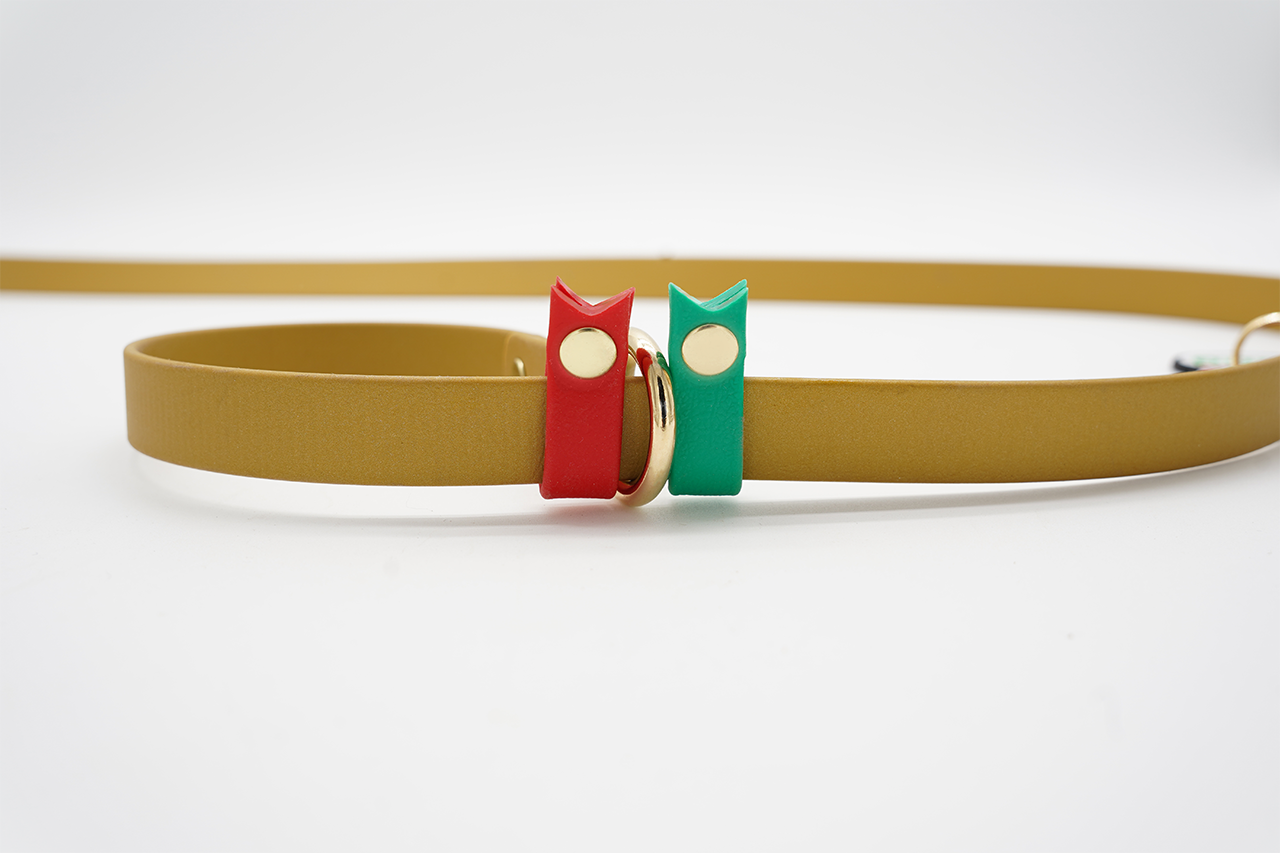 クリスマスコレクション 2025 リード