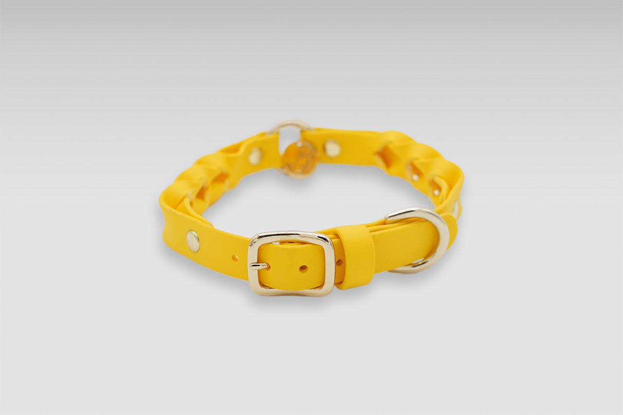 TWIST MIMOSE ベルトタイプカラー