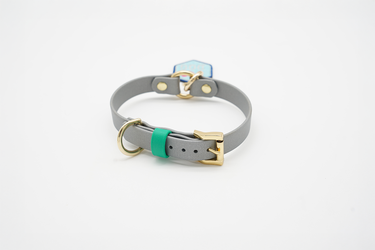 クリスマスコレクション 2025 ベルトタイプカラー