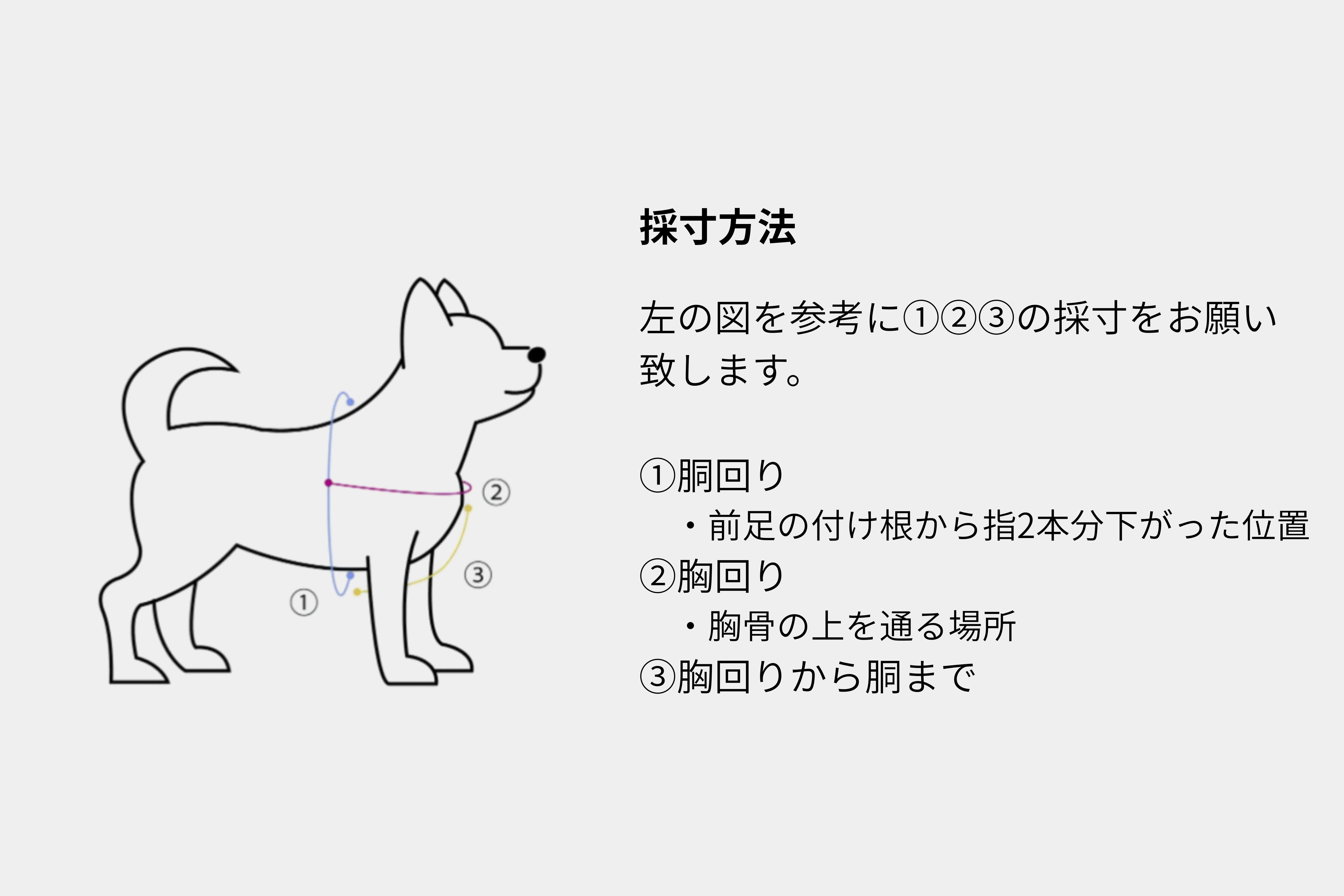 ハンドル付きハーネス カスタムオーダー